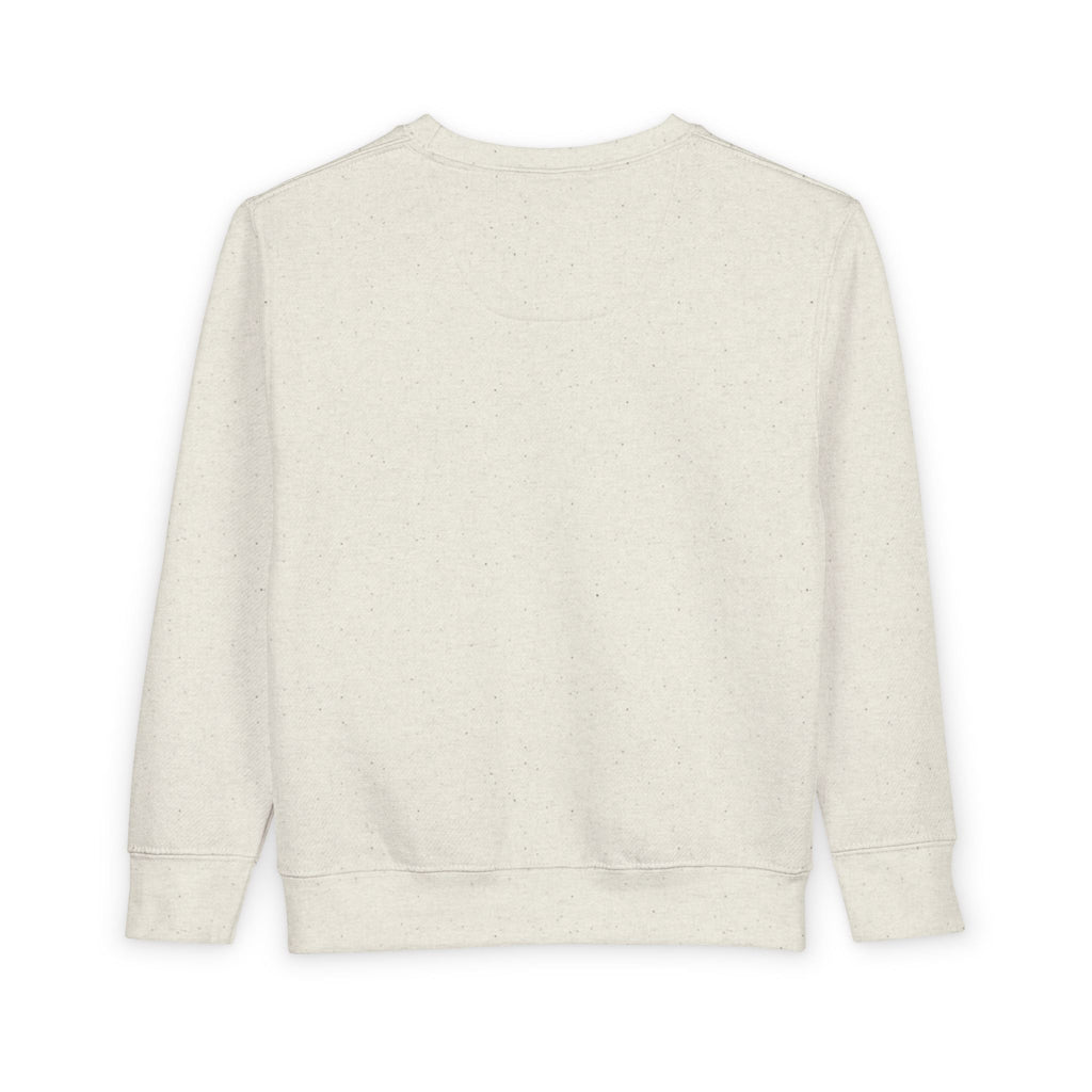 The DDs Sweatshirt — Dynamic Duo (Toddler)